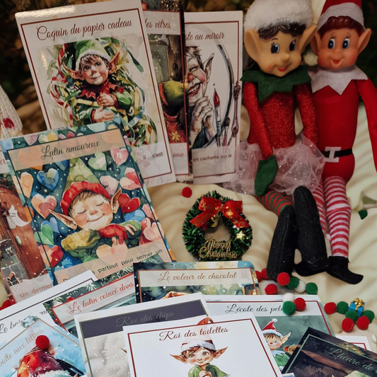 🎄 Entrez dans la magie des Lutins du Bois avec la Box du Lutin Farceur – Édition Noël 2025 ✨