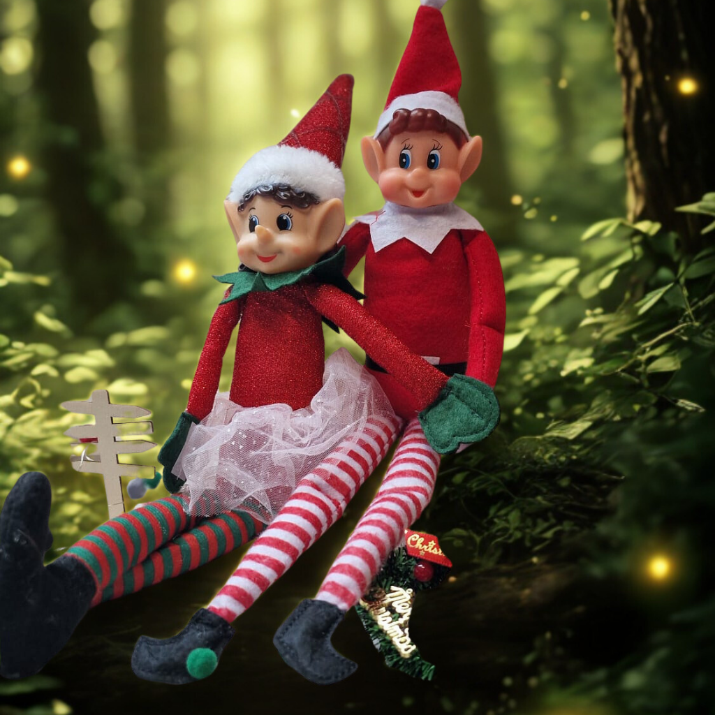 Box du Lutin Farceur – Édition Noël 2025 🎄