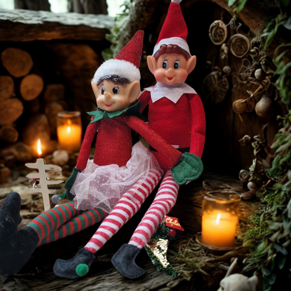 Box du Lutin Farceur – Édition Noël 2025 🎄
