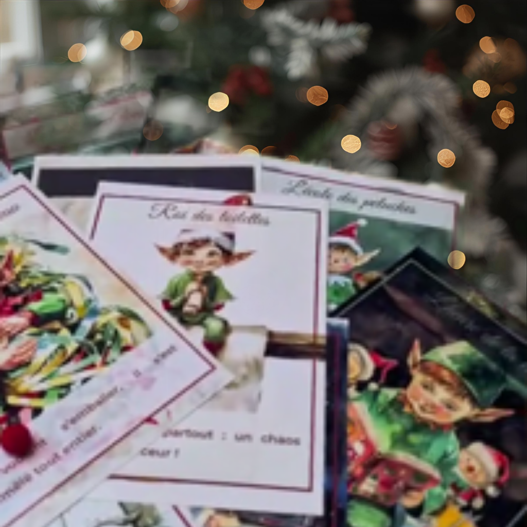 Box du Lutin Farceur – Édition Noël 2025 🎄